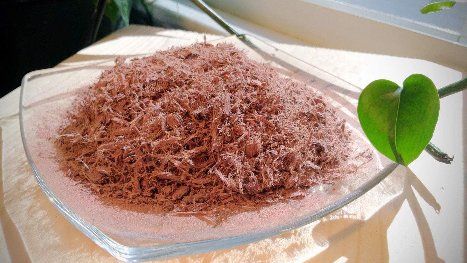 Sustainable Dye Creations with Jurema Root Bark