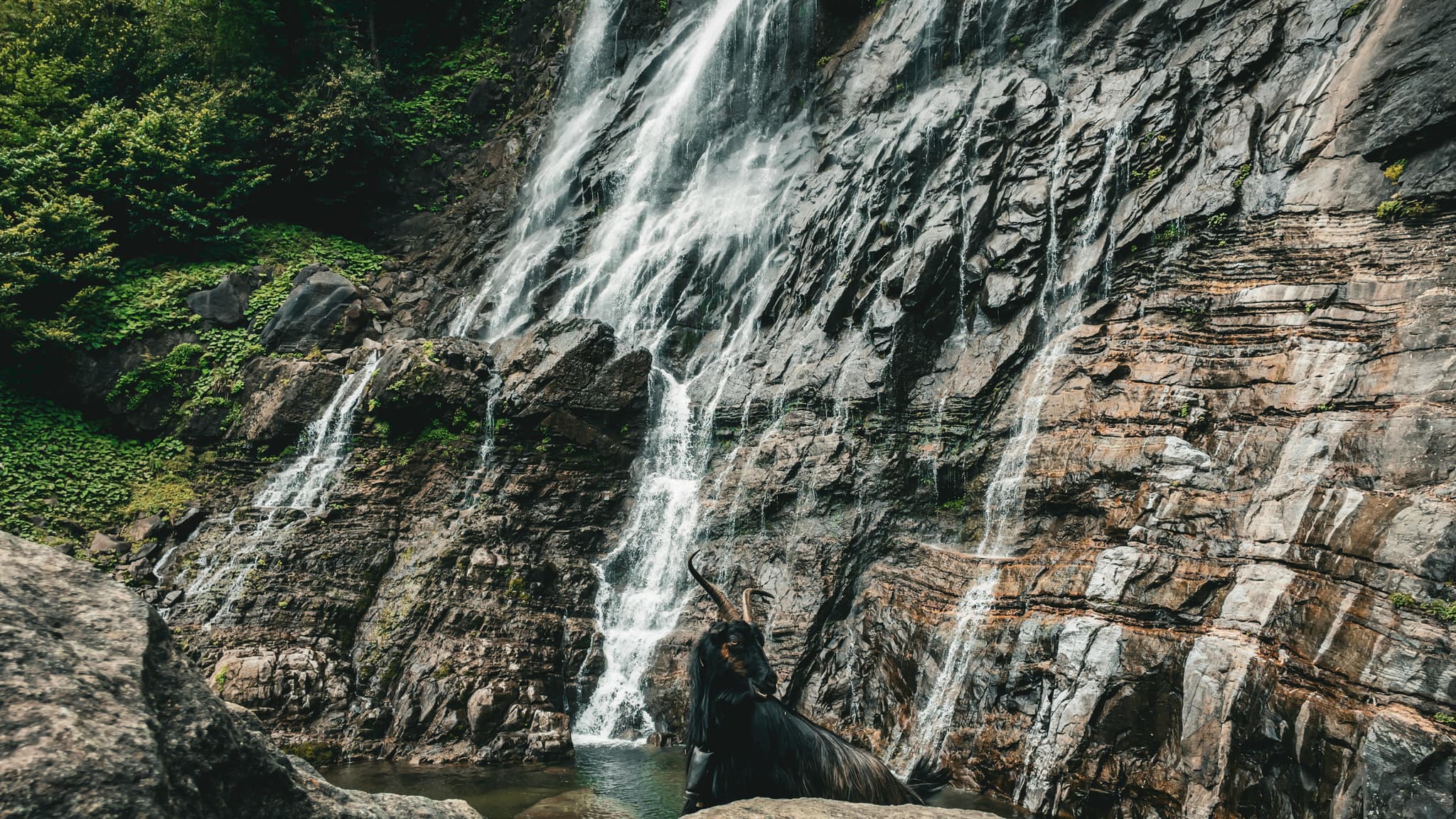 Visiting the Most Scenic Waterfall in Oregon with Ease