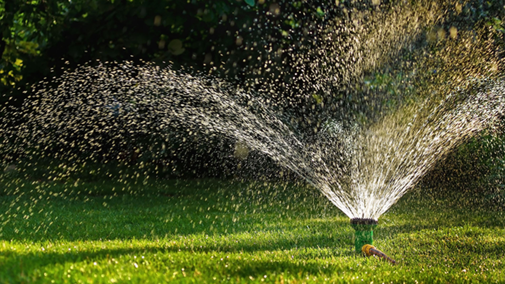 Dependable Professional Irrigation Services in Azle, TX by Local Experts