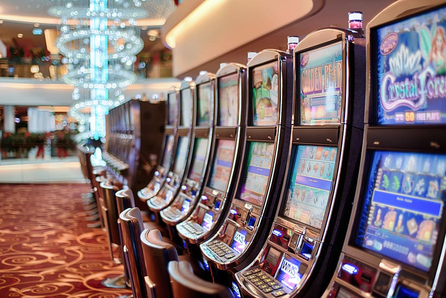 Situs BALI19 Terbaik untuk Pemula yang Ingin Menang Konsisten