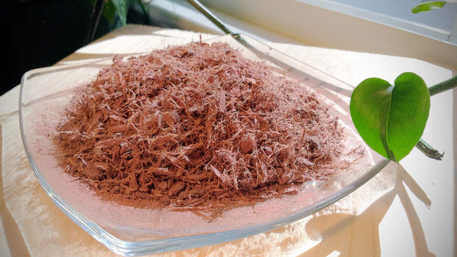 Sustainable Dye Creations with Jurema Root Bark