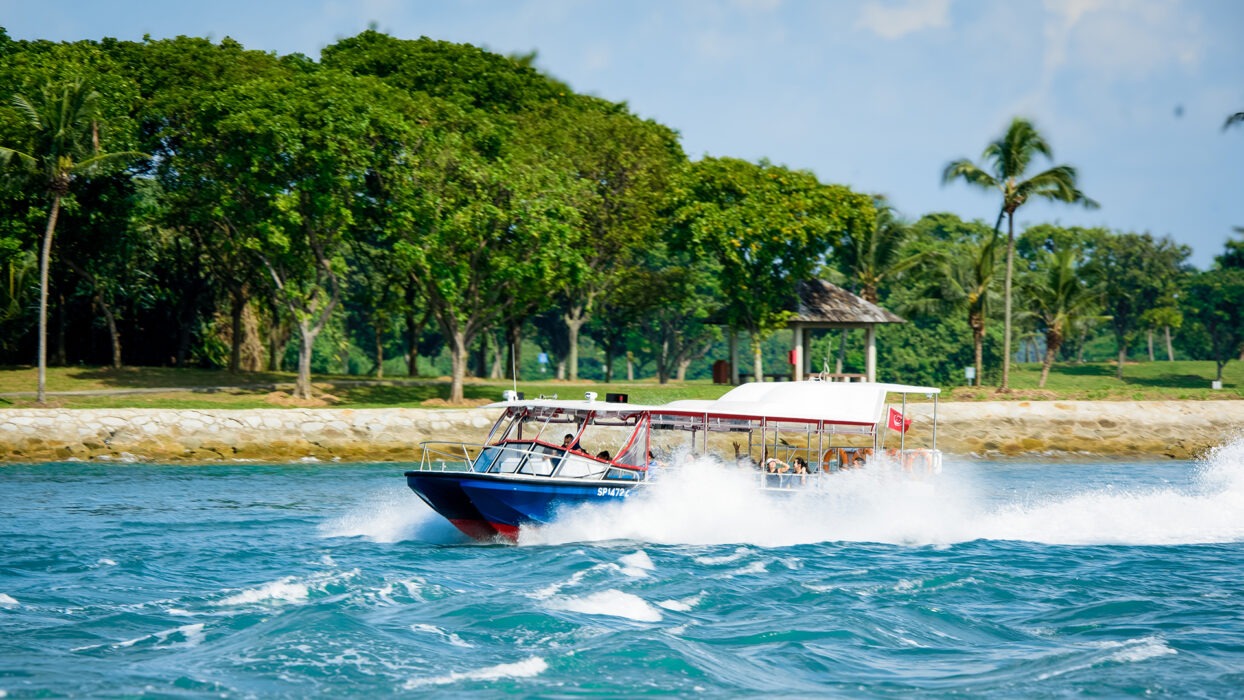Cabo Adventure Tours – Thrilling Experiences Reviewed by Cabo Verified