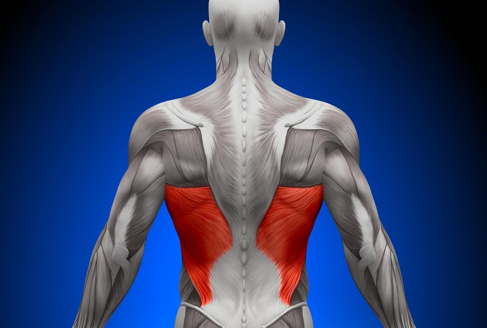 Lhow to get rid of back pain: A Complete Guide to Pain-Free Living
