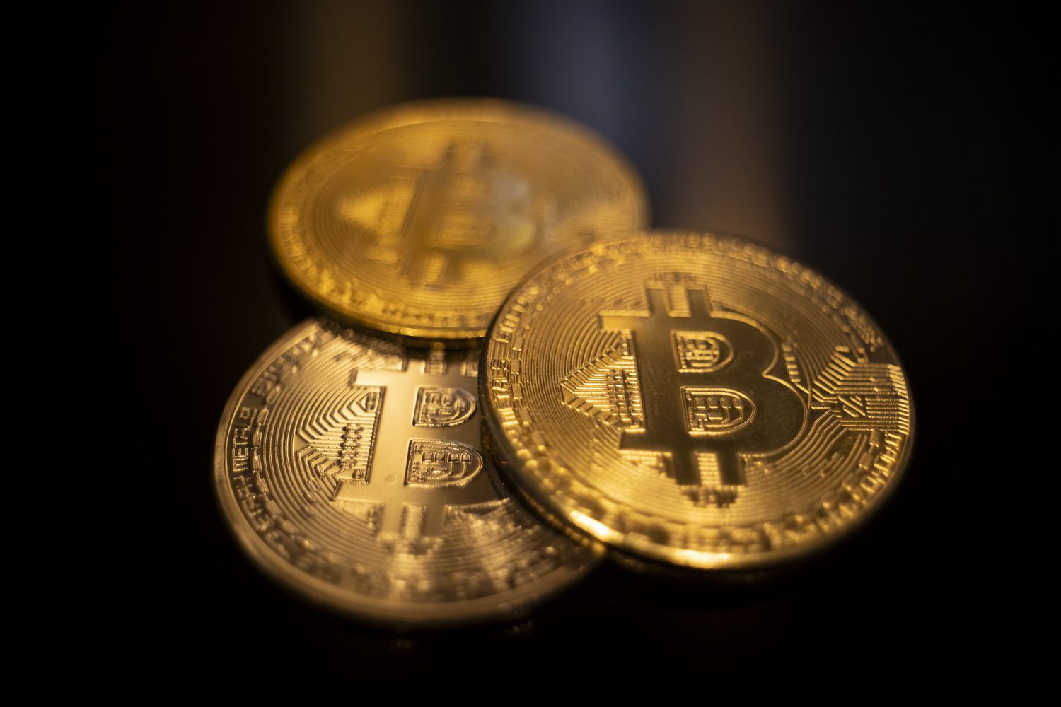 2025 Predictions for the Global Bitcoin NFT Market