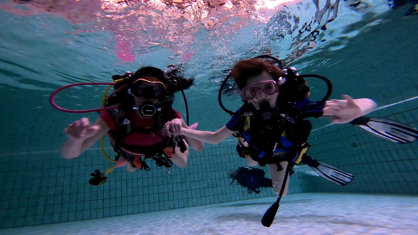Discover Marine Life with Boat Diving Northern Ireland
