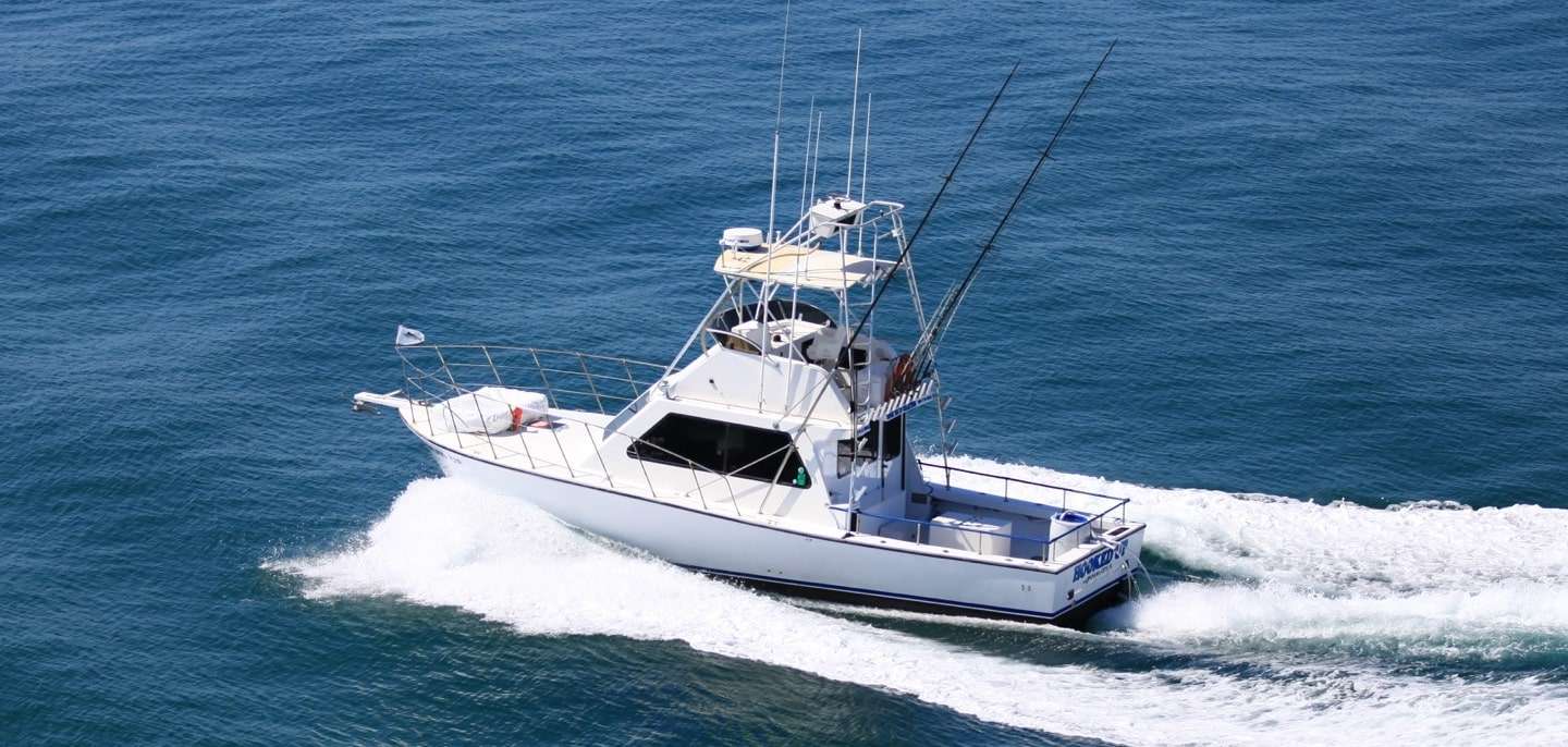 Cabo San Lucas Fishing Charters – Ocean Adventure
