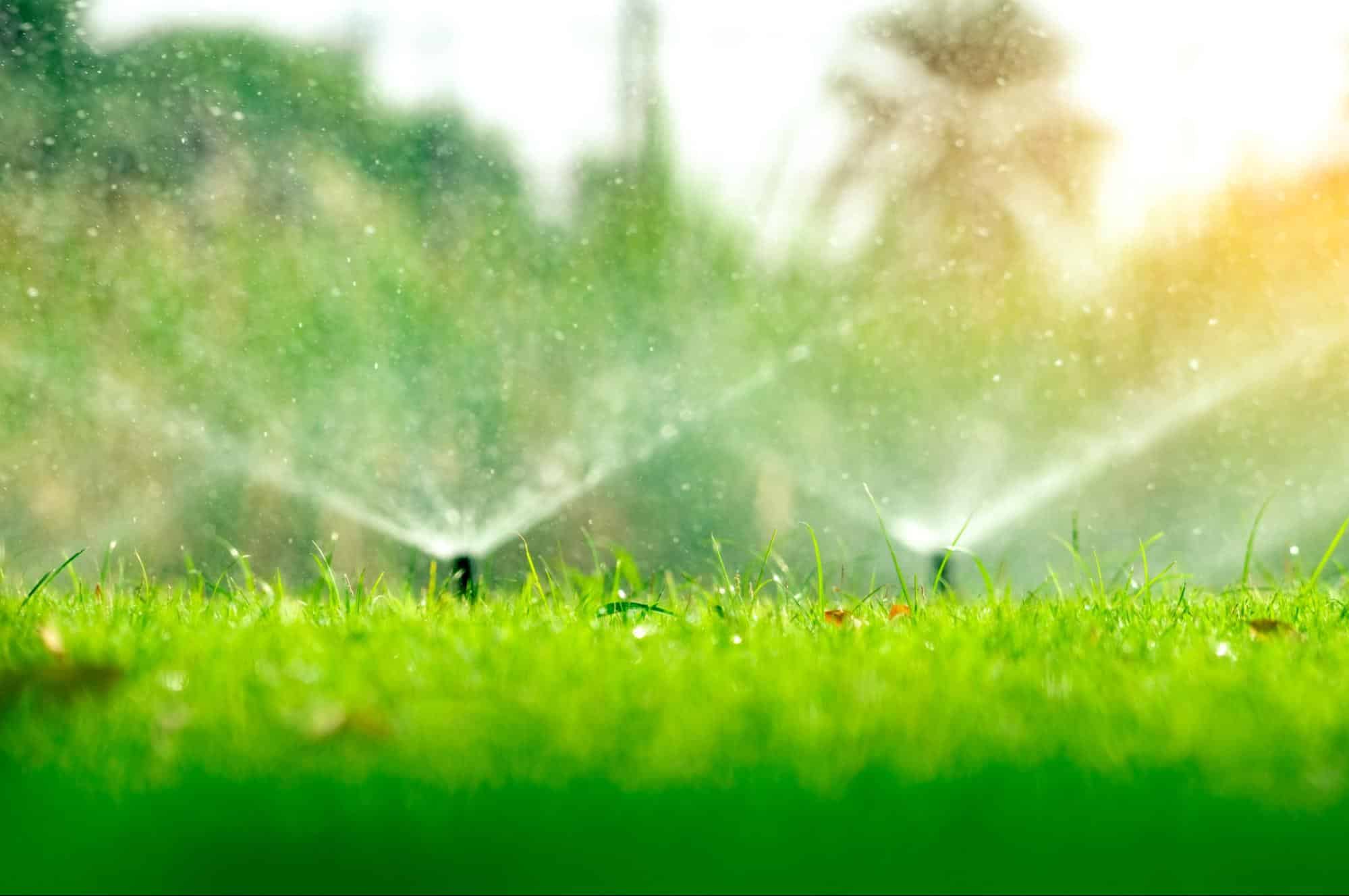 Trusted Expert Drainage Services in Weatherford, TX for Homeowners