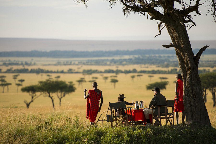 Experience a Safari from Zanzibar and Discover Africa’s Majestic Wildlife