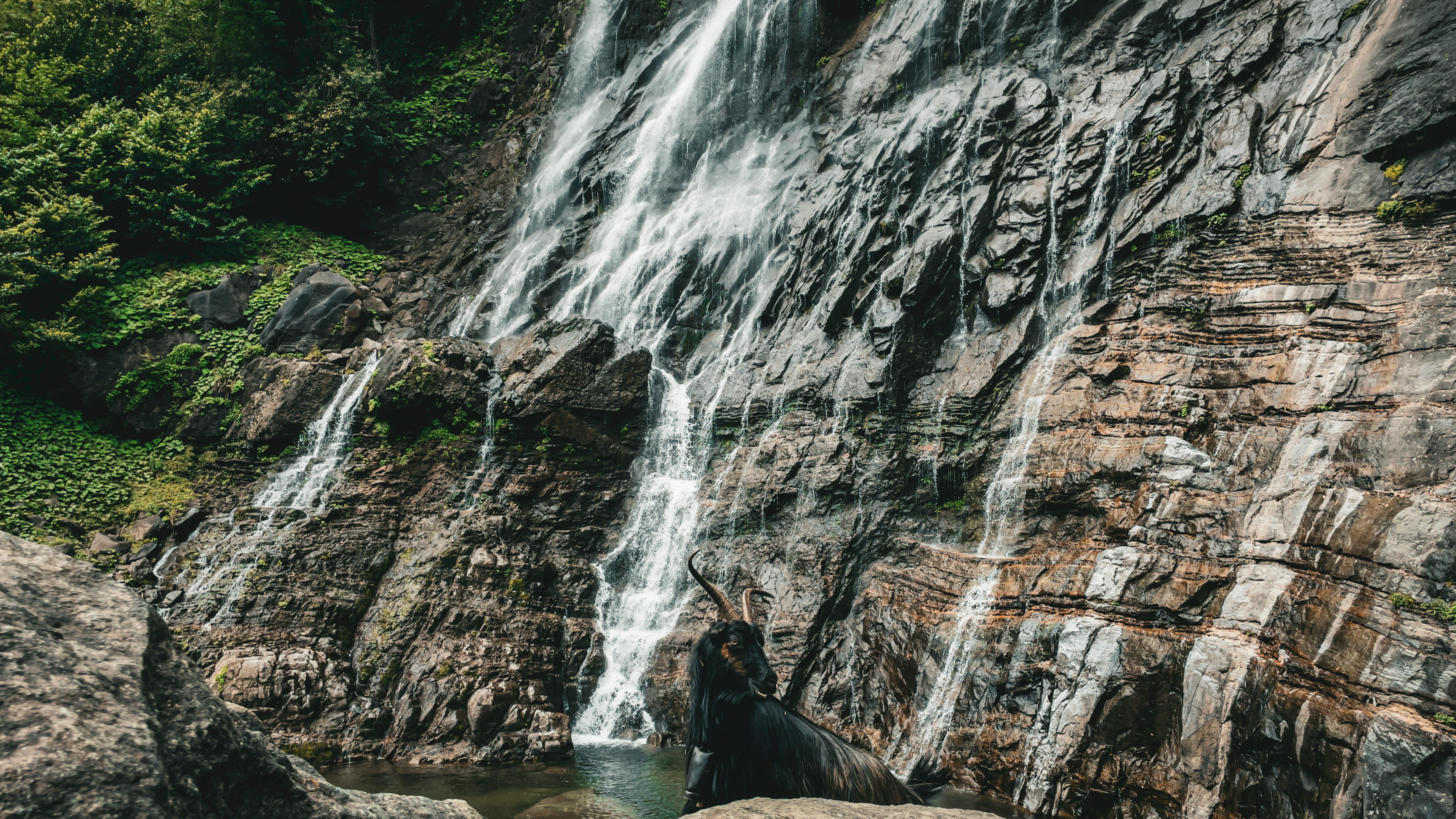 Visiting the Most Scenic Waterfall in Oregon with Ease