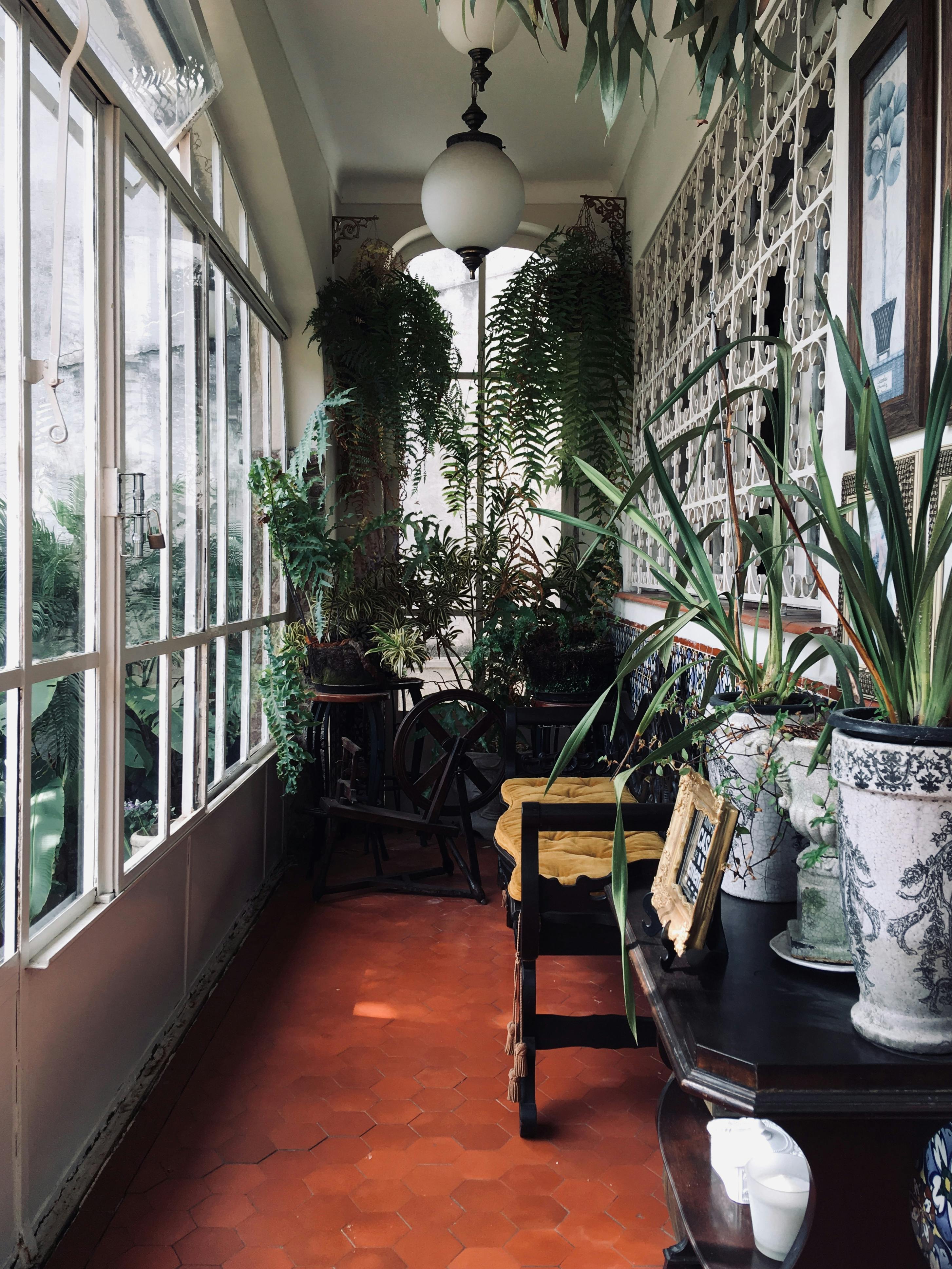 Elegant Glass Sunroom Solutions for Comfort and Style