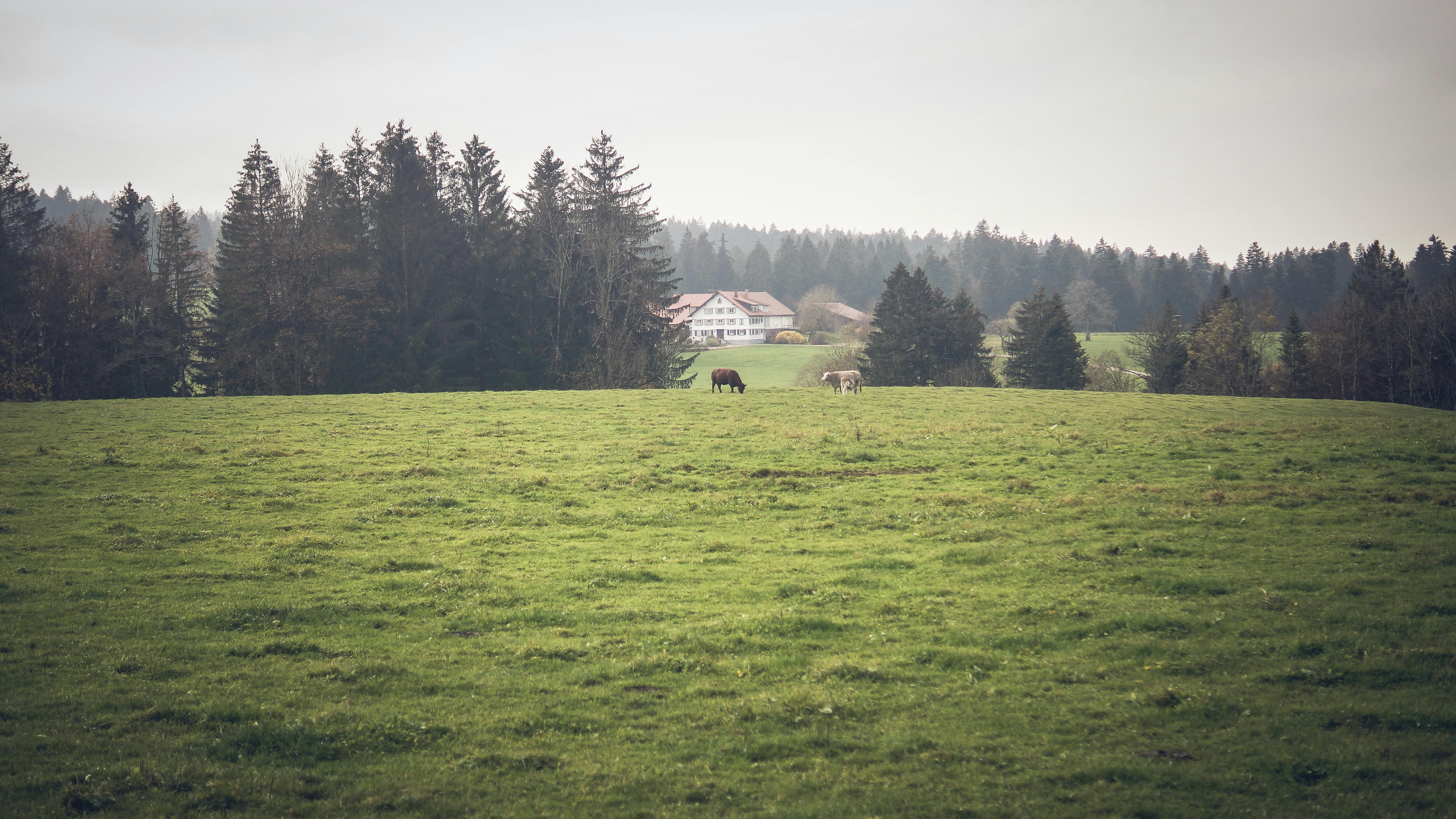 Familienfreundliche Tipps, wohin im Allgäu reisen