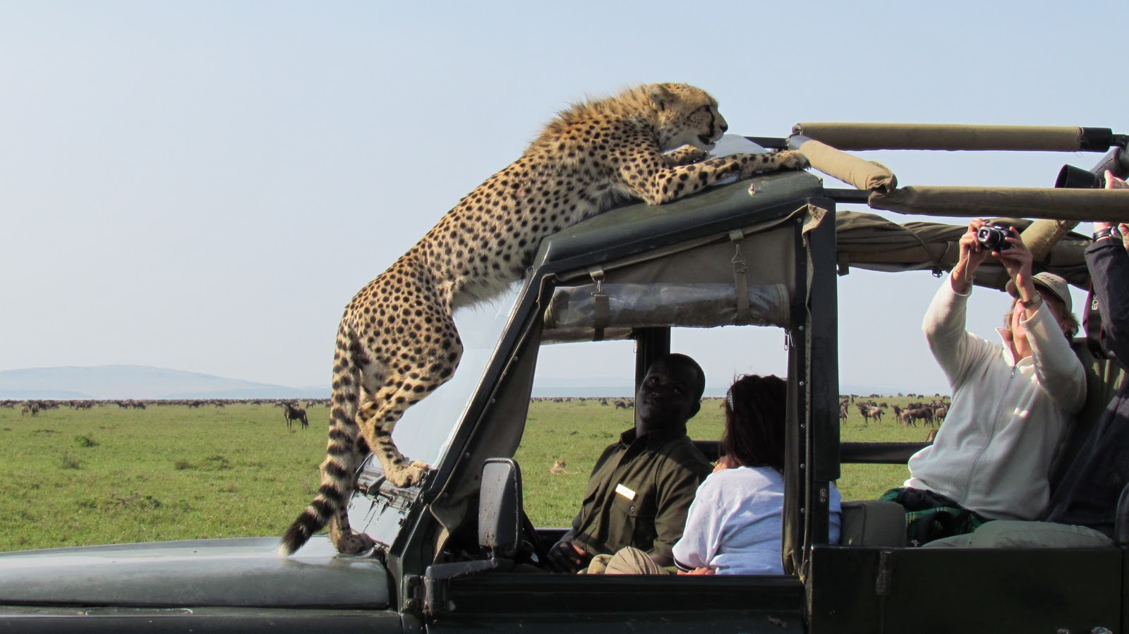 Tanzania Safari Journeys with Authentic Local Insight