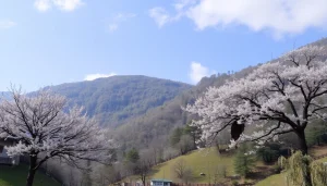 葉酸サプリを使用して健康的な食生活を楽しむ女性の手元のクローズアップ写真