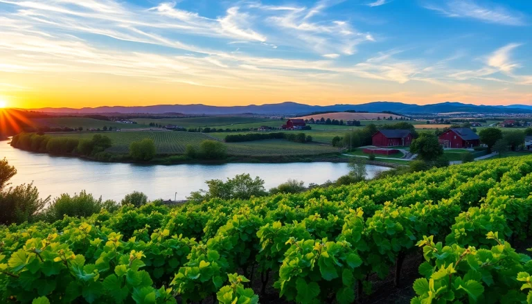 Experience the tranquility of Clarksburg CA with stunning vineyards and riverside views.